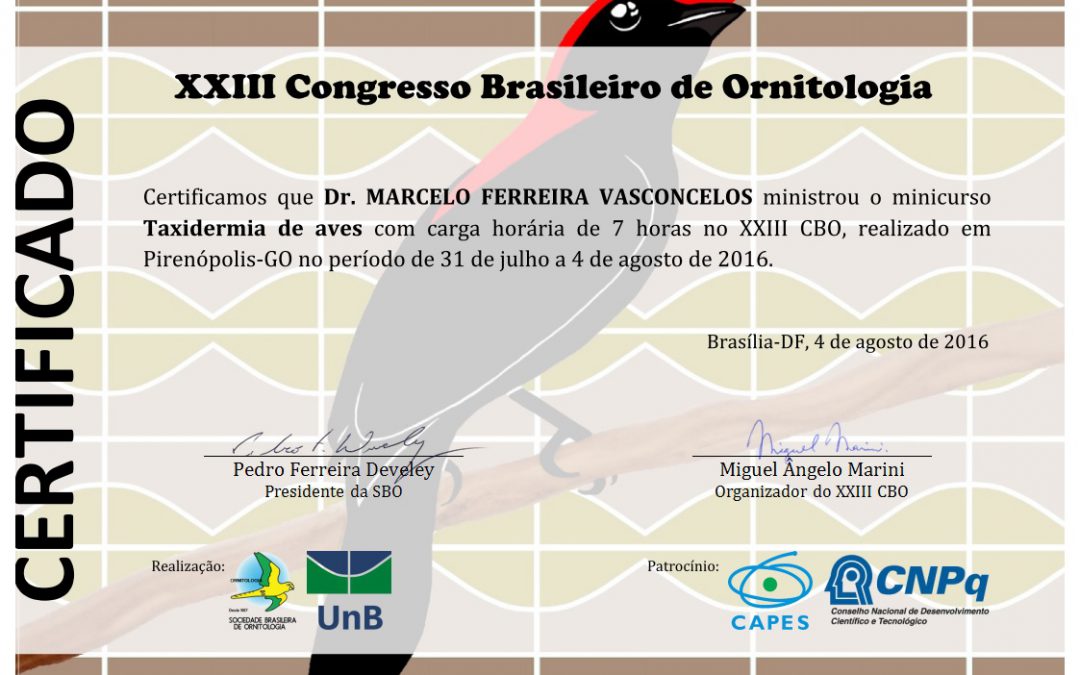 Minicurso Taxidermia de Aves no XXIII Congresso Brasileiro de Ornitologia