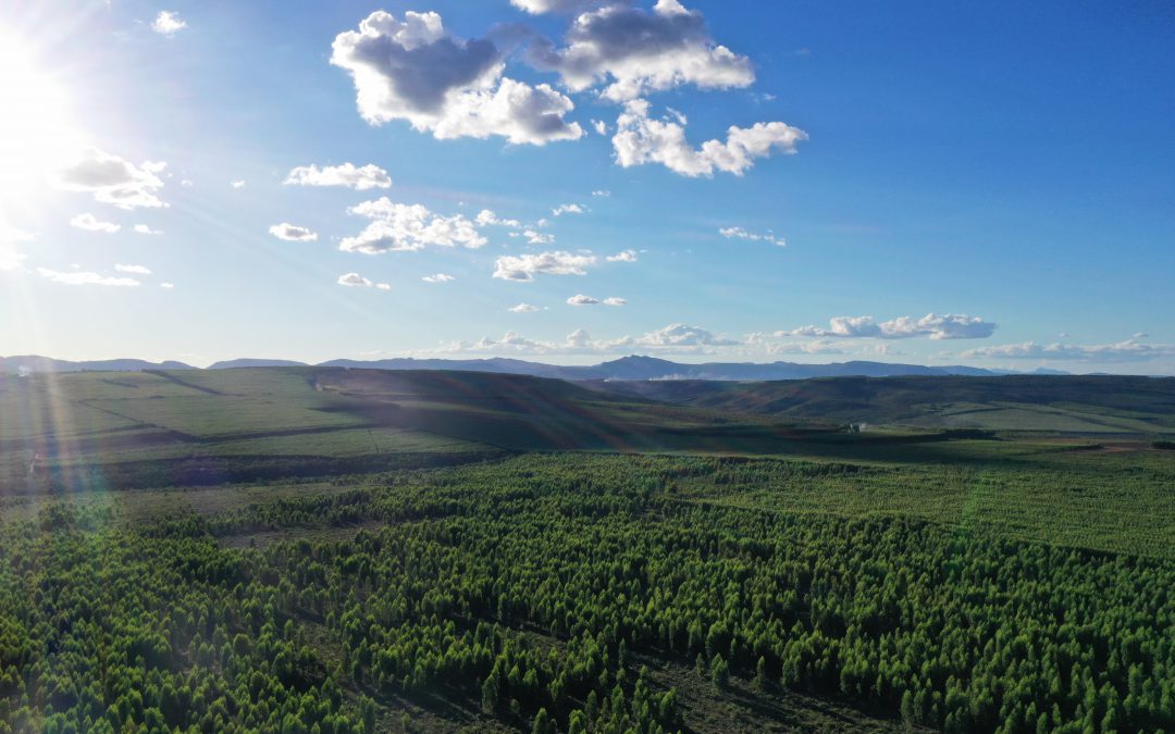 Fique por dentro da nova Lei Geral do Licenciamento Ambiental