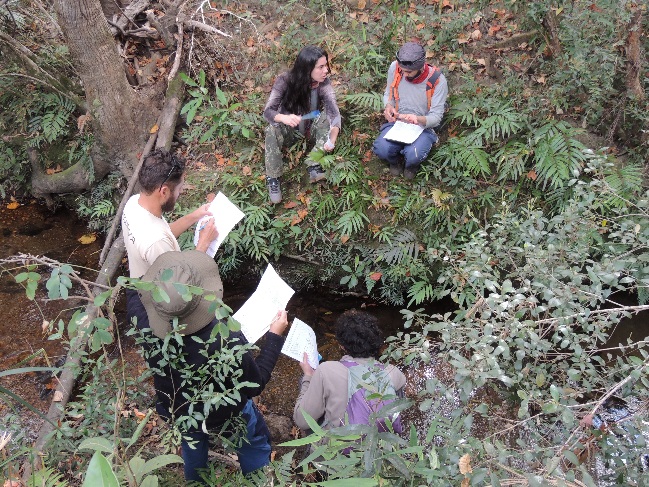 Imagem Avaliação Ecológica Rápida de qualidade de riachos do PARNA Gandarela
